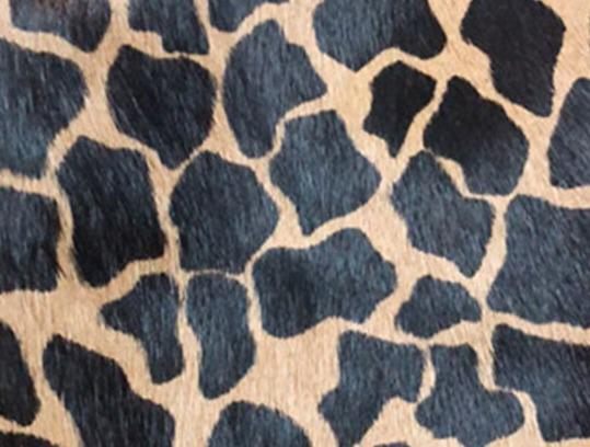 Footwear Products Animal print upper material